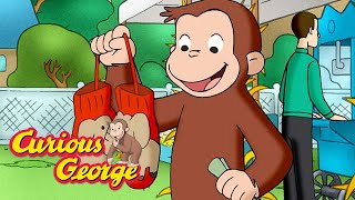 Curious George 🐵 George