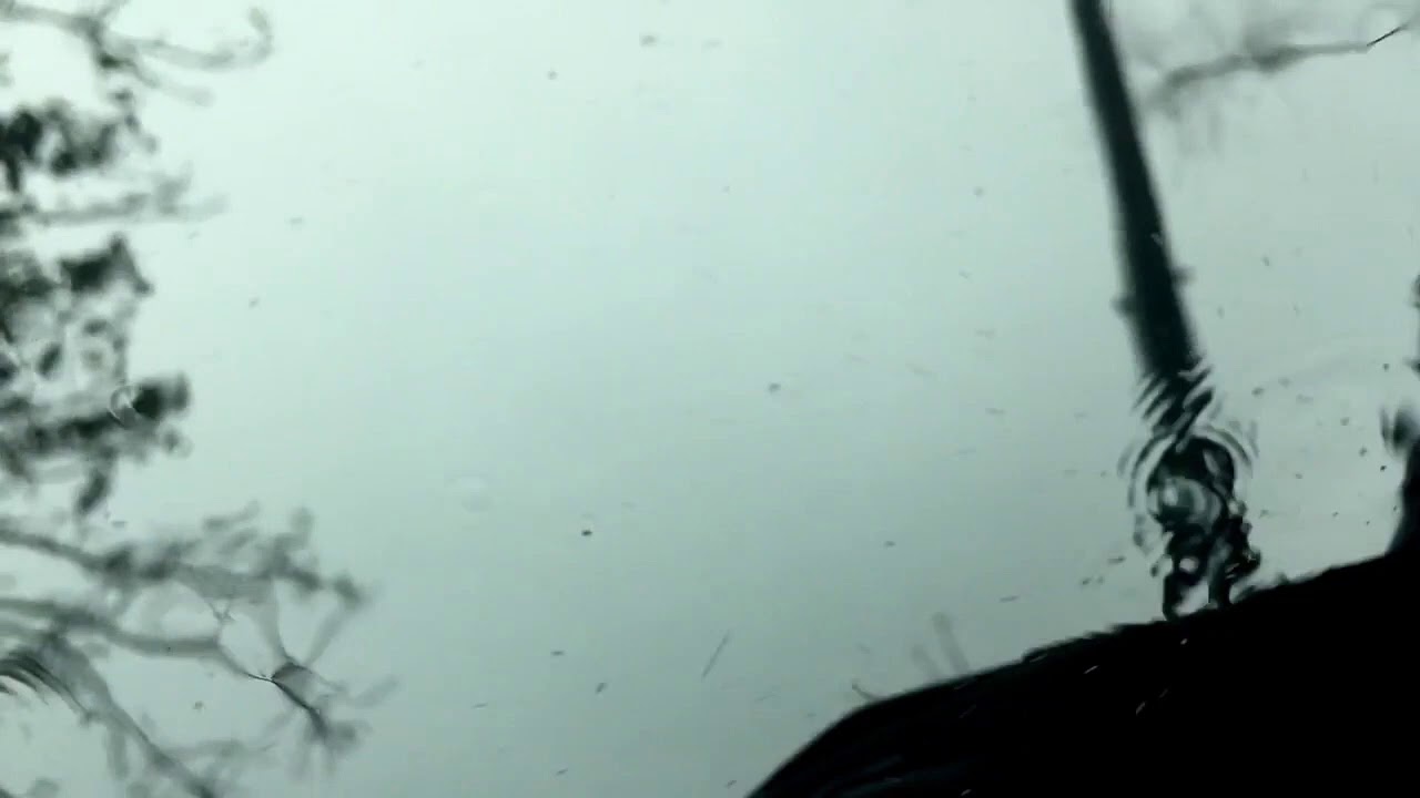 promo liveacts mega summer 19 24 07