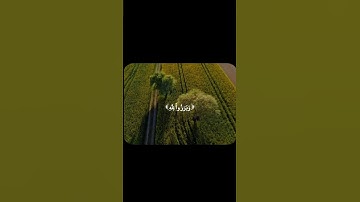 تلاوة خاشعة لناصر القطامي 🤍😔 #اكسبلور #المصحف #لايك #قران_كريم