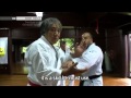 Tee - The True Spirit of Okinawan Karate
