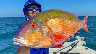 GIANT Snapper- Catch Clean Cook