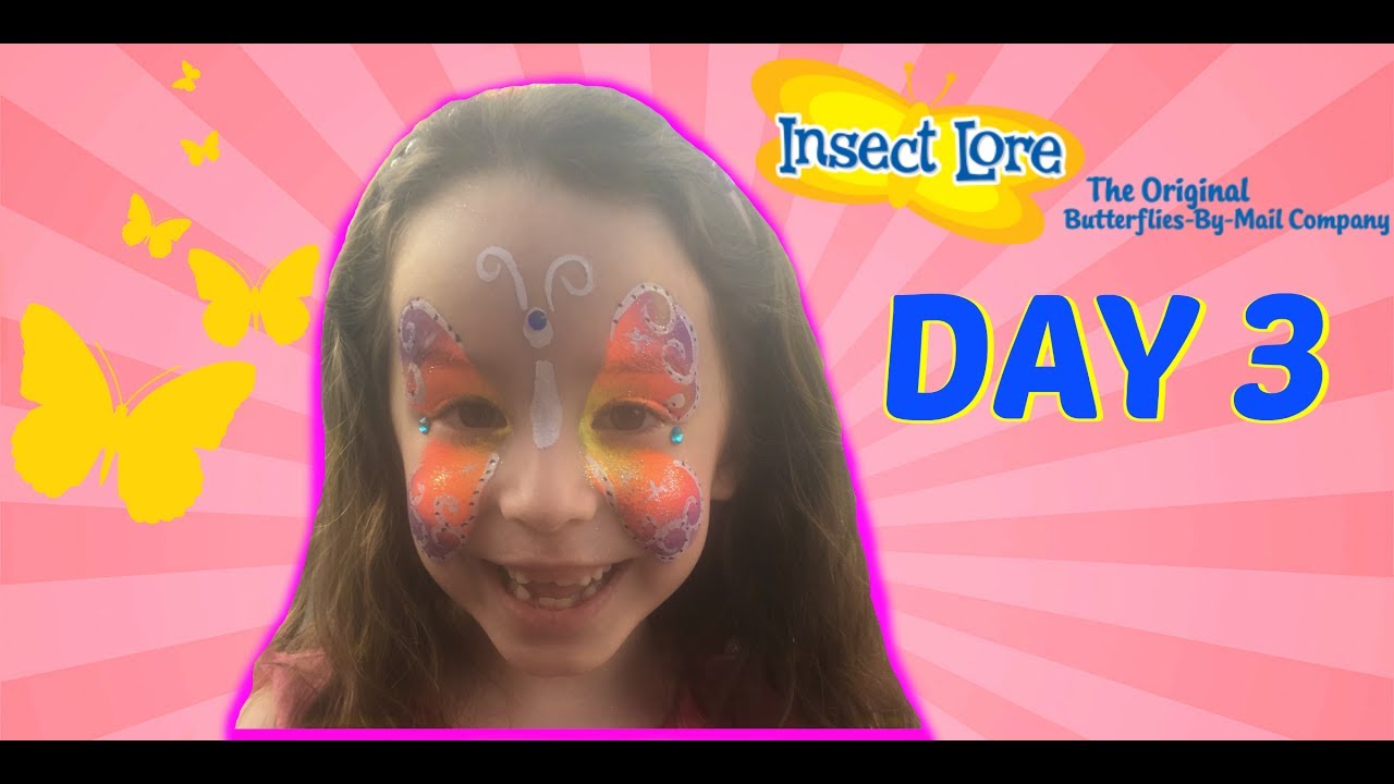 Insect Lore Caterpillars Update Day 3 YouTube