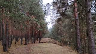 видео: Как деньги и власть  картинка: Как деньги и власть