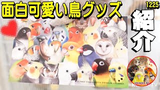 面白い可愛い鳥グッズが届きました！YAMASHITA DESIGN が凄すぎた！動画1225