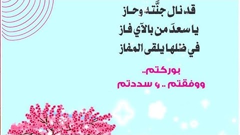 سورة القصص بتلاوة ورشية  هادئة (الوجه394-395-396) للتثبيت و المراجعة #قرآن #حفظ_القرآن_الكريم