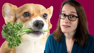 Your Dog Needs to Be Vegan