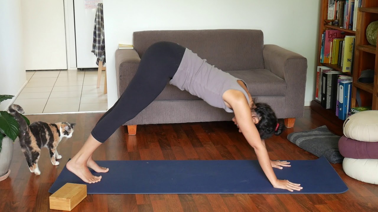 This keeps shoulders safe & strengthens arms in Downward Facing Dog