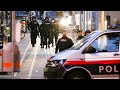 Austria decreta tres días de luto nacional por la víctimas del ataque yihadista en Viena