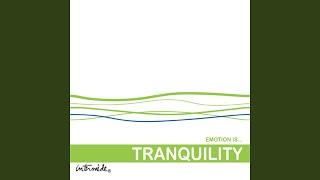 Soft Reflections screenshot 4