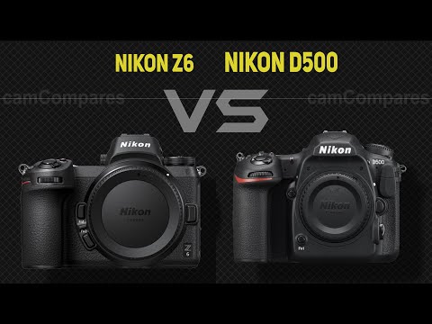 Nikon Z6 vs Nikon D500  [Camera Battle]