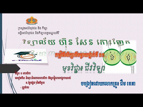 ជីវវិទ្យាថ្នាក់ទី១១ មីតូស វគ្គប្រូផាស| Mitosis (Prophase) Biology G.11