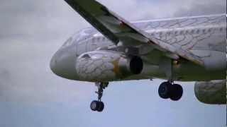 G-Dbcd The Dove Livery Landing At London Heathrow