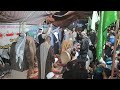 مديح عراقي بتاريخ 9 11 2024