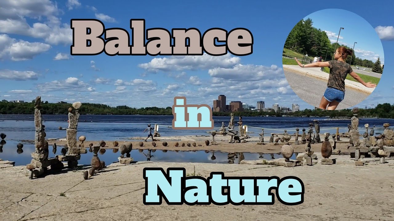 Awesome Rock Sculptures - Remic Rapids Park - Ottawa River