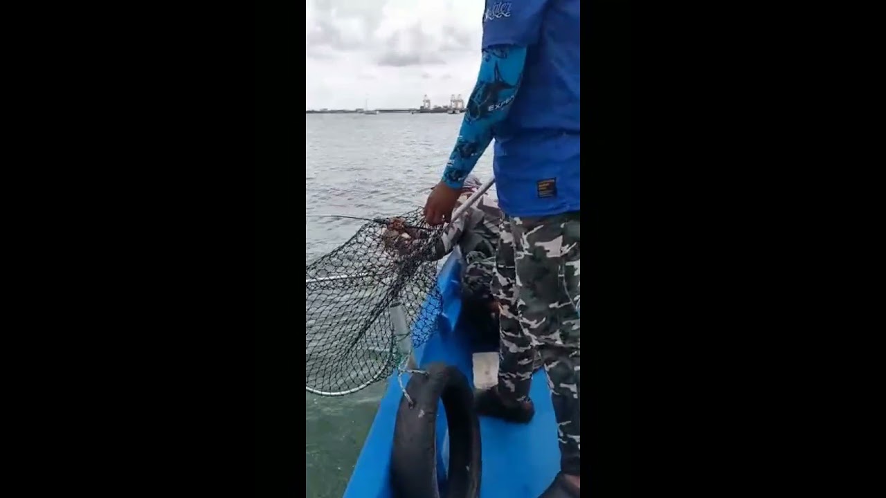Sekitar Persisiran Laut Pulau Pinang Micro Jig Bottom Udang Hidup Youtube