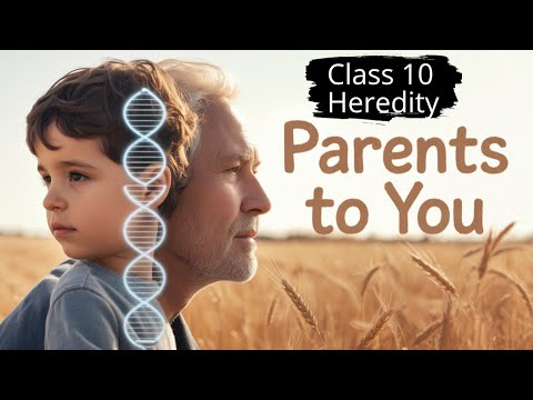 Class 10 Heredity | Full Chapter Explained | CBSE Science Chapter 9
