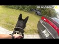 Craziest Police K9 Takedowns Caught on Camera - Part 2