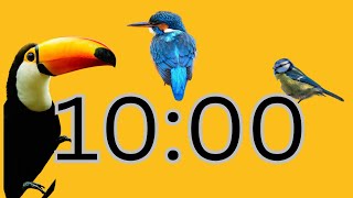 10 Minute Timer | Birds  🕊️