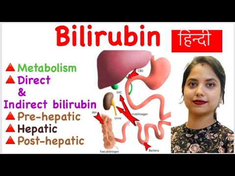 Bilirubin metabolism in hindi | Direct & Indirect Bilirubin | Pre