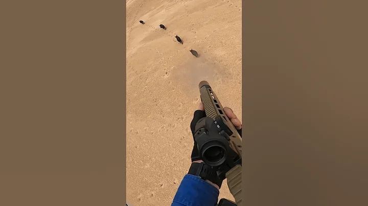 Aerial shooting feral pigs in sensitive riparian conservation area. #aerialshooting #conservation