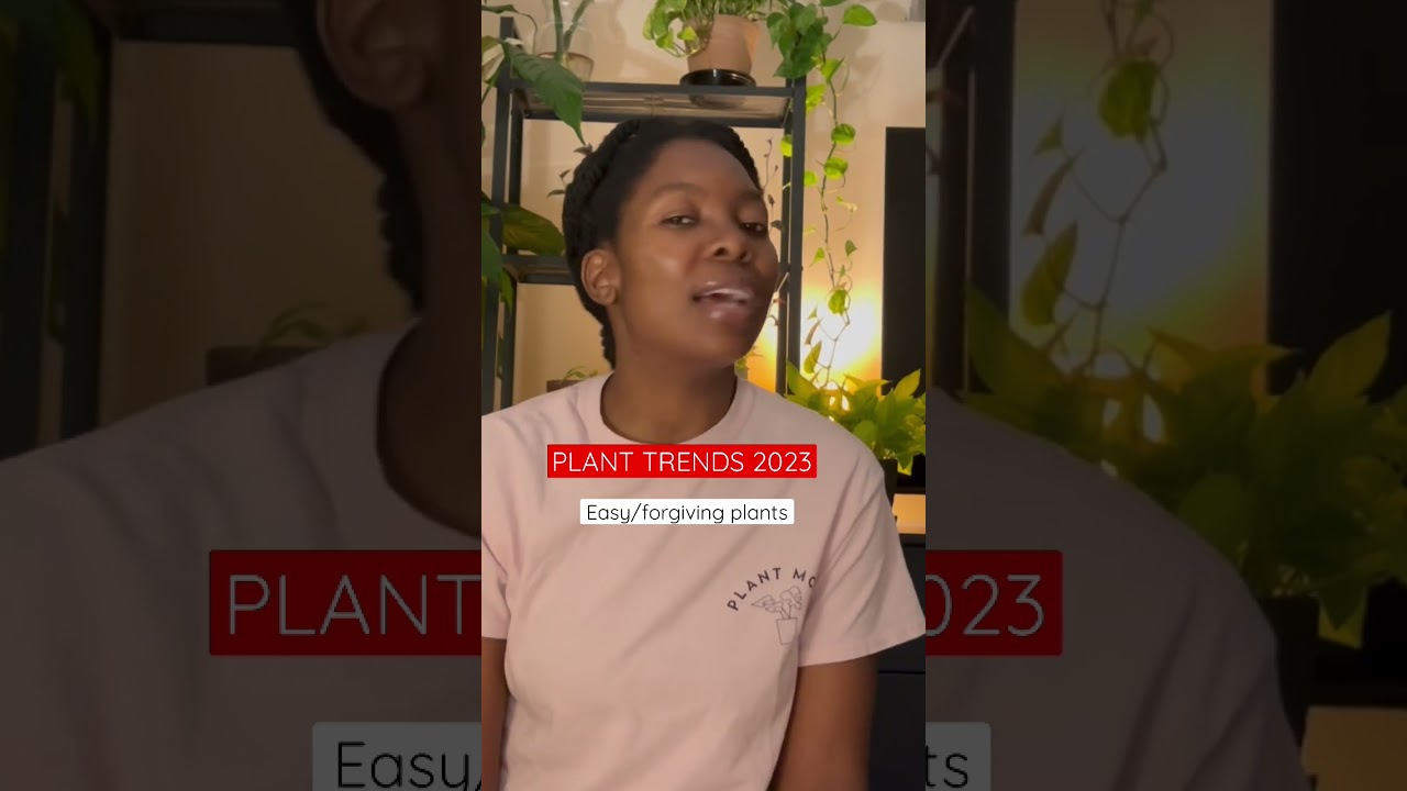 Forgiving plants trending? What do you think? 