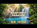 Rain Forest Paradise in 8K HDR 🌿 | Peaceful Tropical Nature for TV Demo &amp; Sleep(3 hours)