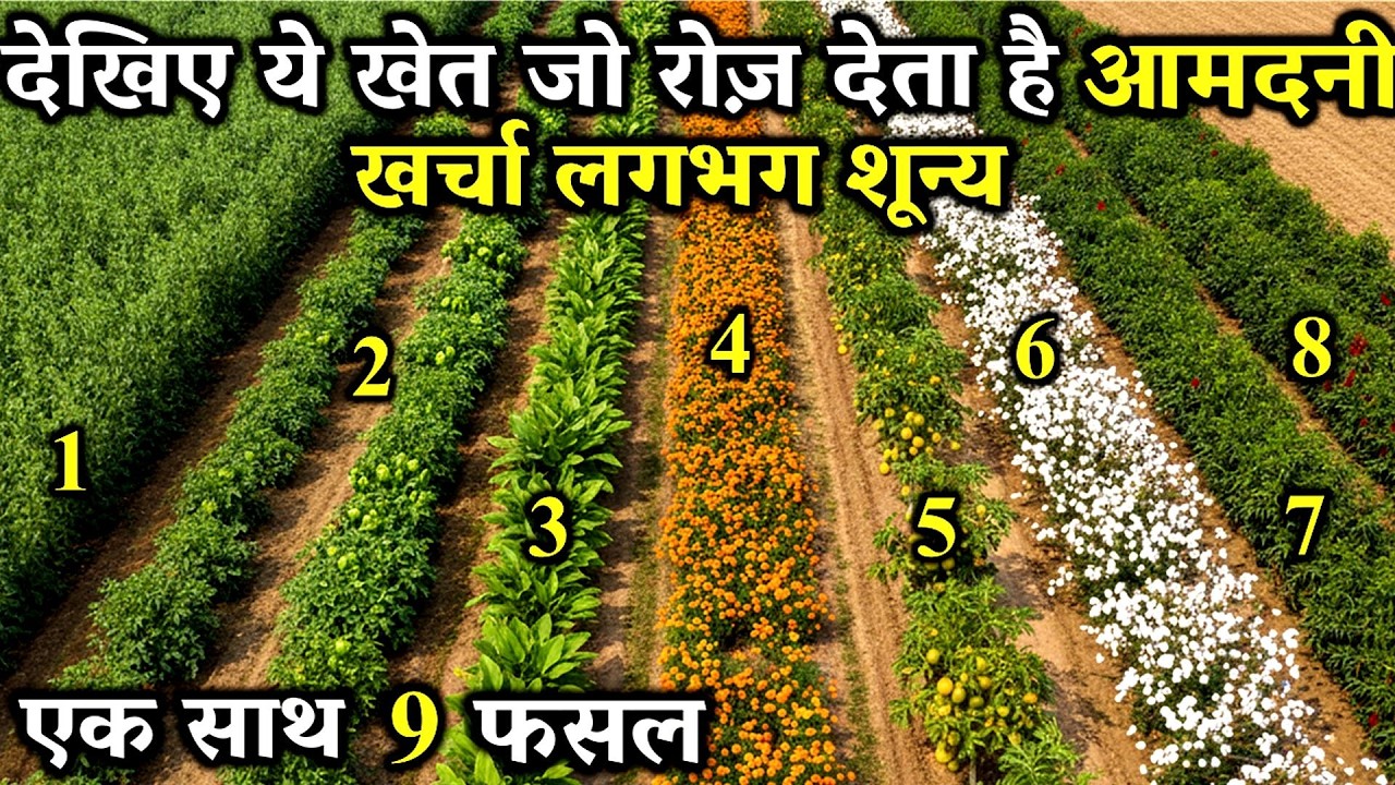 1 एकड़ का जैविक मॉडल लागत जीरो और कमाई लाखों में | Zero Cost Farming | Organic Farming Model 2025