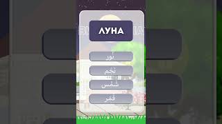 Проверь свои знание! #arabic #учимарабский #arabicforkids #арабскийдлядетей #арабскийдляначинающих