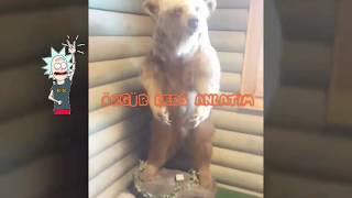 Geometri Üçgenler 3-1-2 Kuralı