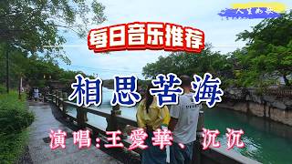 相思苦海 超好聽！王愛華与沉沉深情合唱的傷感情歌《相思苦海》｜廣東珠海-黄楊山