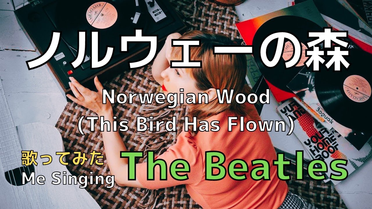 Norwegian Wood This Bird Has Flown｜The Beatles｜Me singing～from