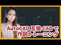 【AutoCAD互換CADで作図トレーニング】両角キーの作図【IJCAD】