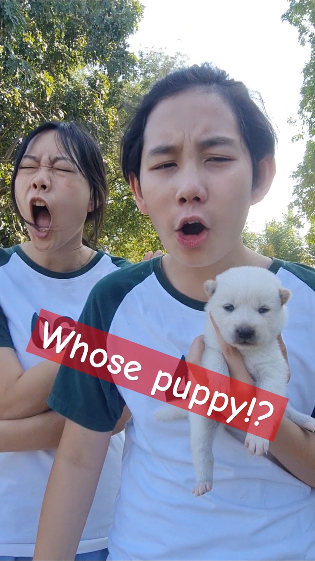 Funny Duo? and Cute Doggo!! What a Misunderstand | JJaiPan #shorts