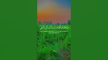 #سورة_النحل #الاية 90 #quran #annahl #An-Nahl القارئ#ناصر_القطامي