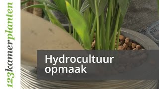 Elastisch erosie Geleidbaarheid Hydrocultuur informatie - 123planten.nl