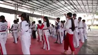 ( P.T.S.) PANOTES TAEKWONDO SYSTEM