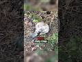 Bikers Found Human Skull While Riding