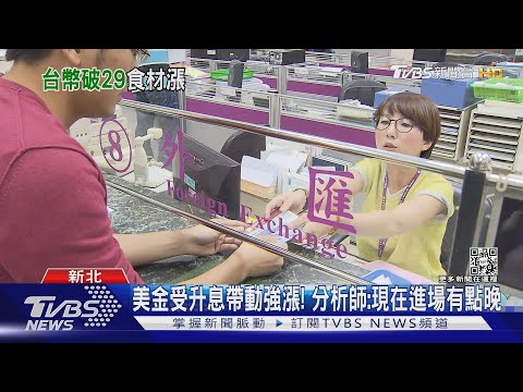   台幣兌美跌破 29 仍強勢 分析師 現在進場 恐晚 TVBS新聞