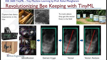 TinyML Course at UPenn - Revolutionizing Bee Keeping