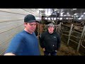 Cow brush finally showed up!!! | GEA milking robots service