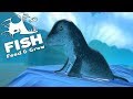 ПРИКЛЮЧЕНИЕ МИЛОГО ТЮЛЕНЯ В ОКЕАНЕ | Feed and Grow Fish