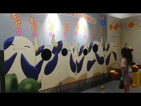 はたらく細胞展 乳酸菌にプリン体を餌付け Youtube