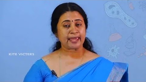 KITE VICTERS Plus two Botany Class 06 (First Bell-ഫസ്റ്റ് ബെല്‍)