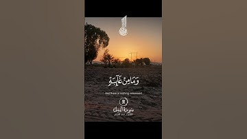 #سورة_النمل#اكسبلور #المصحف #duet