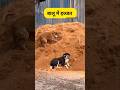 बालू में इज्जत #funny #thetharpuns #comedy #shilpisaroja