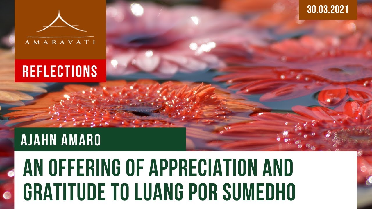 An offering of appreciation and gratitude to Luang Por Sumedho | Dhamma Reflection | 30.03.2021