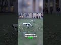 MIT's Mini Cheetah: AI-Powered Robot Runs Faster Than You!