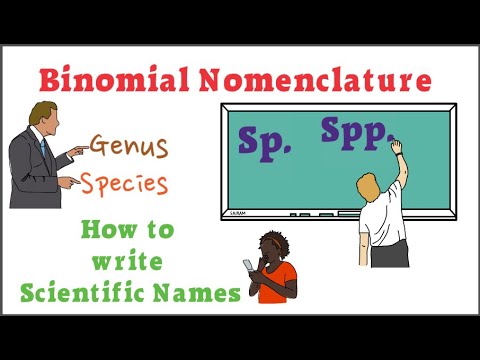 How to write Scientific Names | Binomial Nomenclature