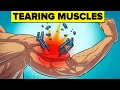 What Really Happens to Your Muscles During a Workout