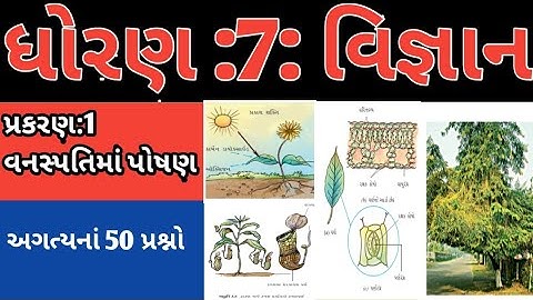 3. STD 7 ch 1 અગત્યના 50 પ્રશ્નો, વનસ્પતિમાં પોષણ